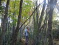/album/conociendo-ribera-norte/a901346-10200779530188390-871697358-o-jpg/